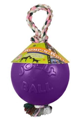 Jolly Pets Romp-N-Roll Rope & Ball Dog Toy, 4.5 in Small, Purple