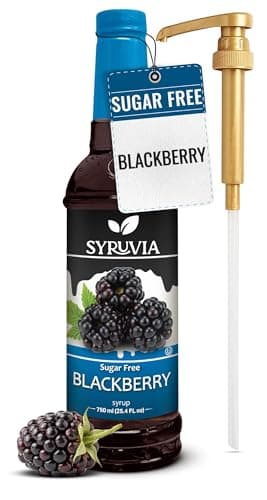 Syruvia Sugar Free Blackberry Syrup, Flavored Syrup for Drinks, Lemonades, Iced Teas, and Desserts – 25.4 fl oz - with Pump